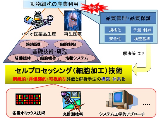 セルプロセッシング計測評価研究部会　紹介図
