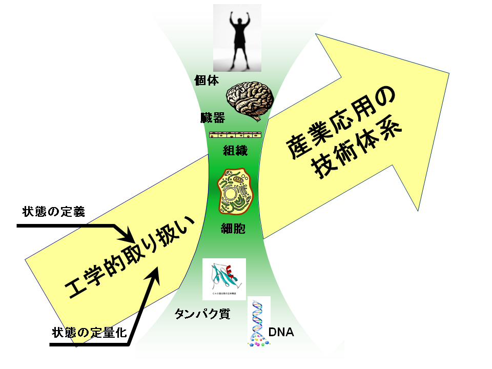 Concept of System Biotechnology